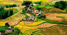du lịch