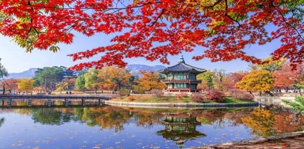 Japan Travel